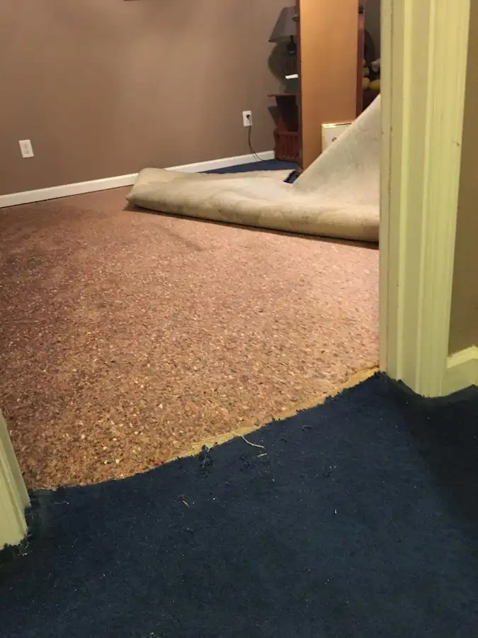 Carpet pad removal revealing water damage during Drying & Dehumidification in Williamstown