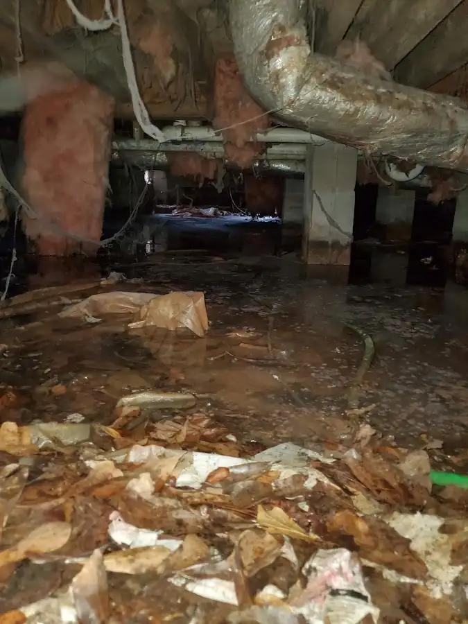 Crawl space flood assessment for Commercial Water Damage Restoration in Williamstown