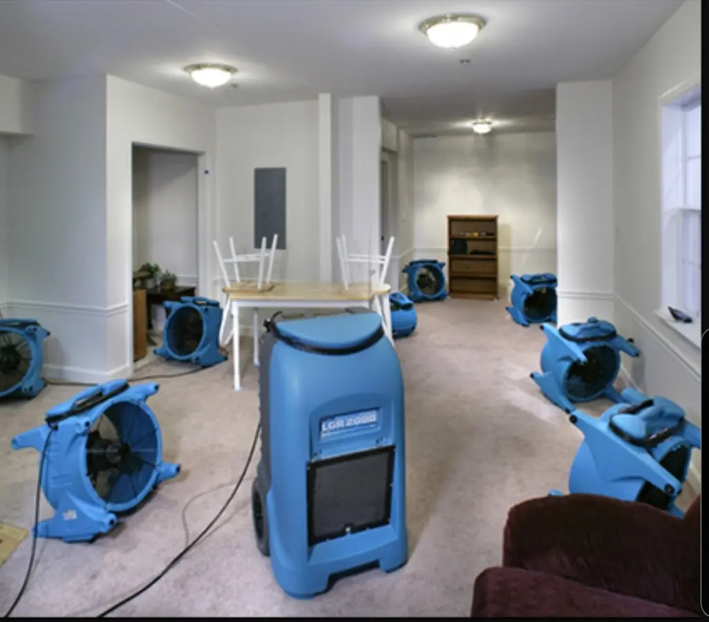 Air movers and dehumidifier setup for Water Extraction & Removal in Williamstown