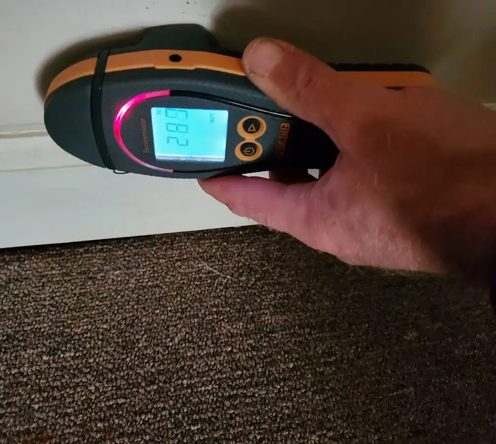 Moisture detection at baseboard during Mold Inspection & Testing in Williamstown