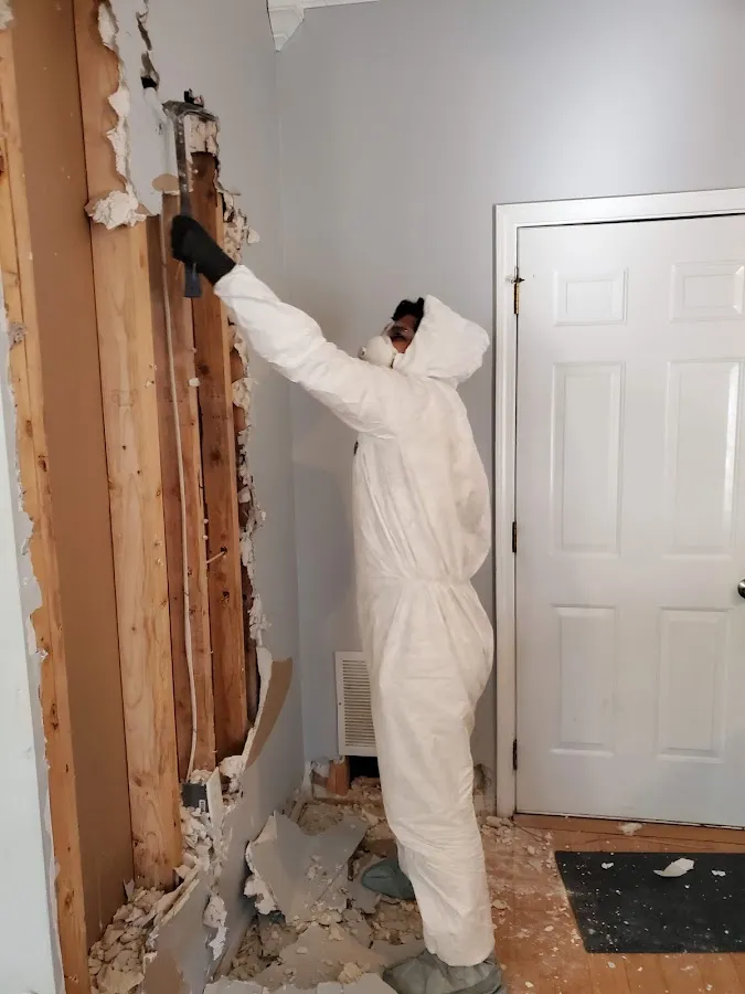 Mold Inspection & Testing in Williamstown, MI